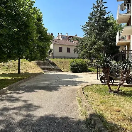 Nea